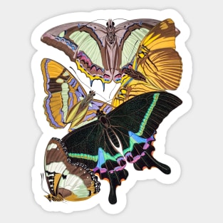 Butterflies Watercolor #5 Sticker